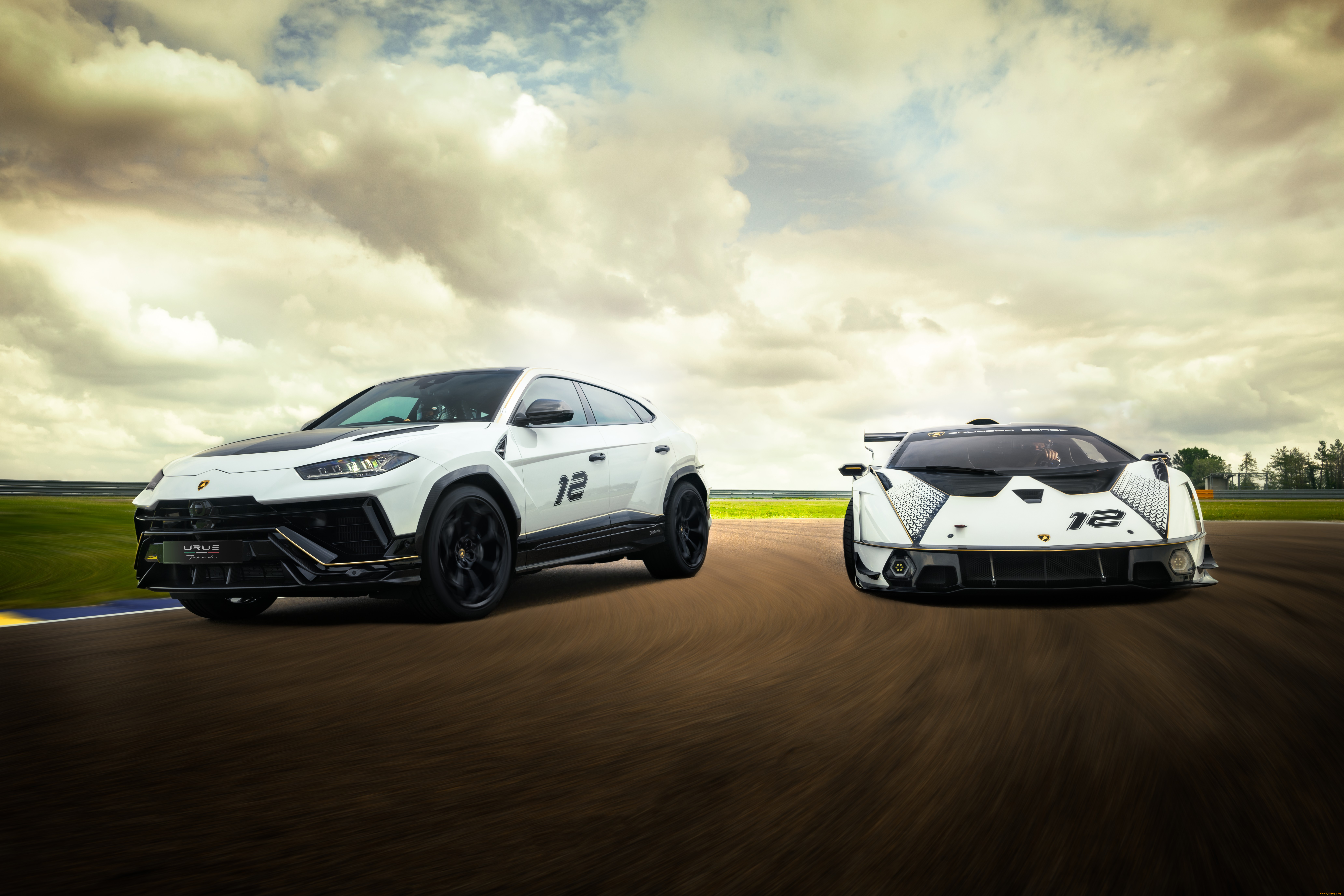 , lamborghini